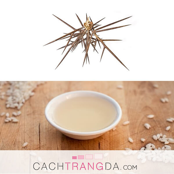 3 Cách trị nám da hiệu quả bằng bồ kết tốt hơn bao giờ hết