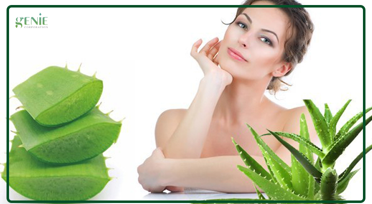 Lợi ích của nha đam với làn da