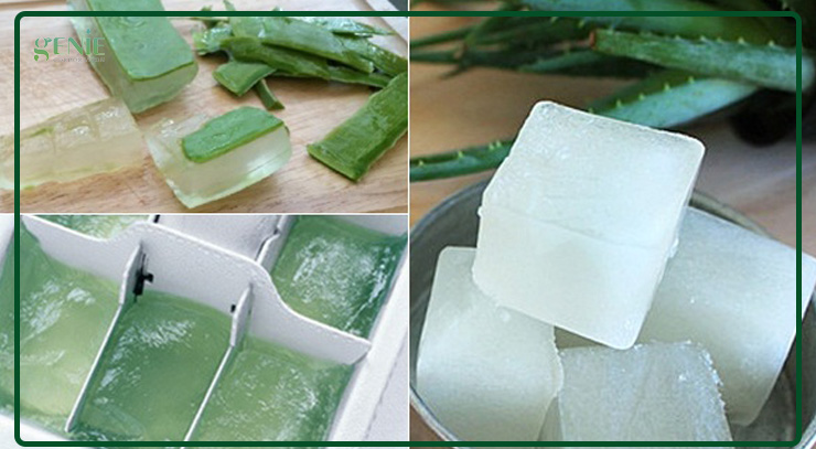 Làm đẹp bằng nha đam đông đá