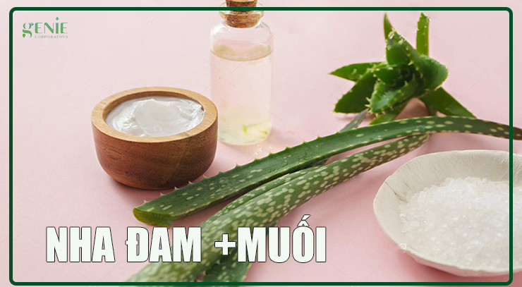Cách làm trắng da bằng nha đam và muối