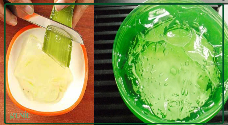 Cách làm mịn da bằng gel lô hội