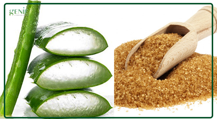 Làm mịn da bằng nha đam và đường nâu