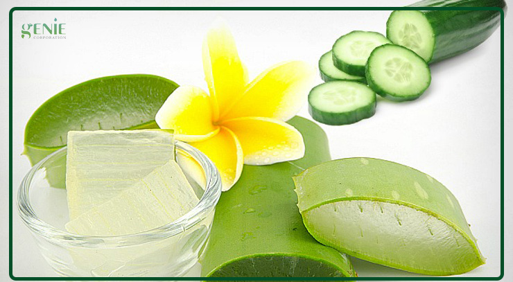 Làm mịn da bằng nha đam với dưa chuột