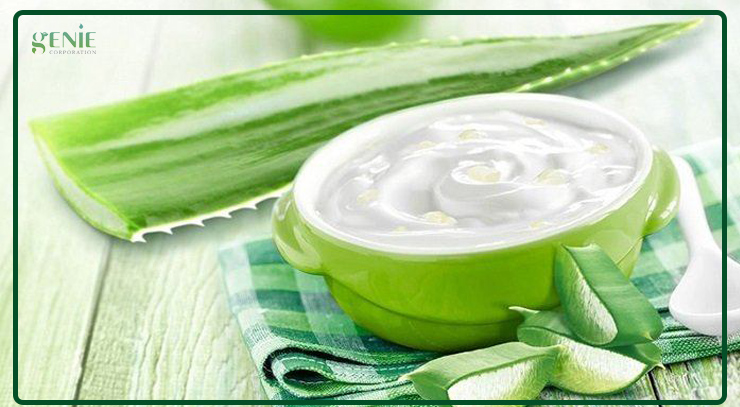 Cách làm mịn da bằng nha đam và sữa chua