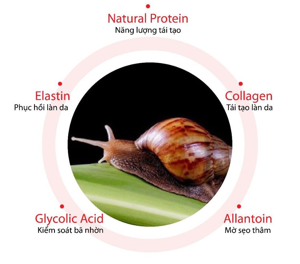 Bắt ốc sên ngoài vườn dưỡng da, hai cô gái làm ai cũng amp;#34;thót timamp;#34; vì quá mạo hiểm - 7