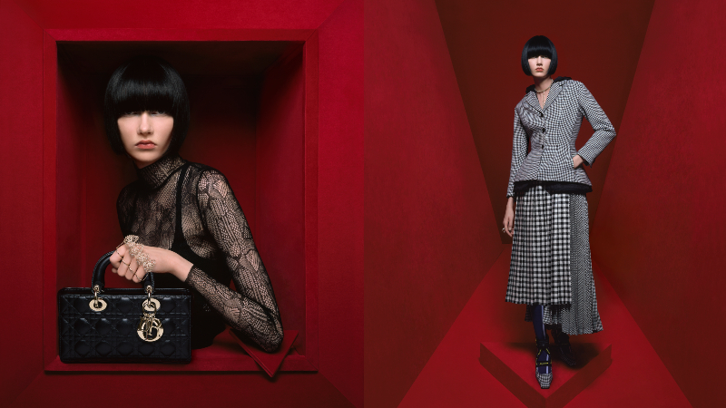 chien dich quang ba bst diot thu dong 2022 - 1