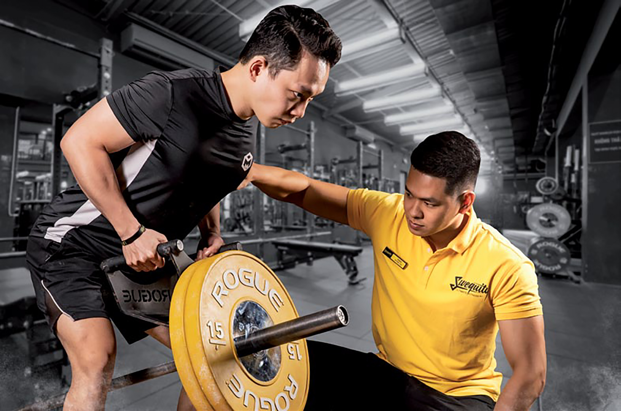 tập gym và những điều nên biết tập gym và những điều nên biết