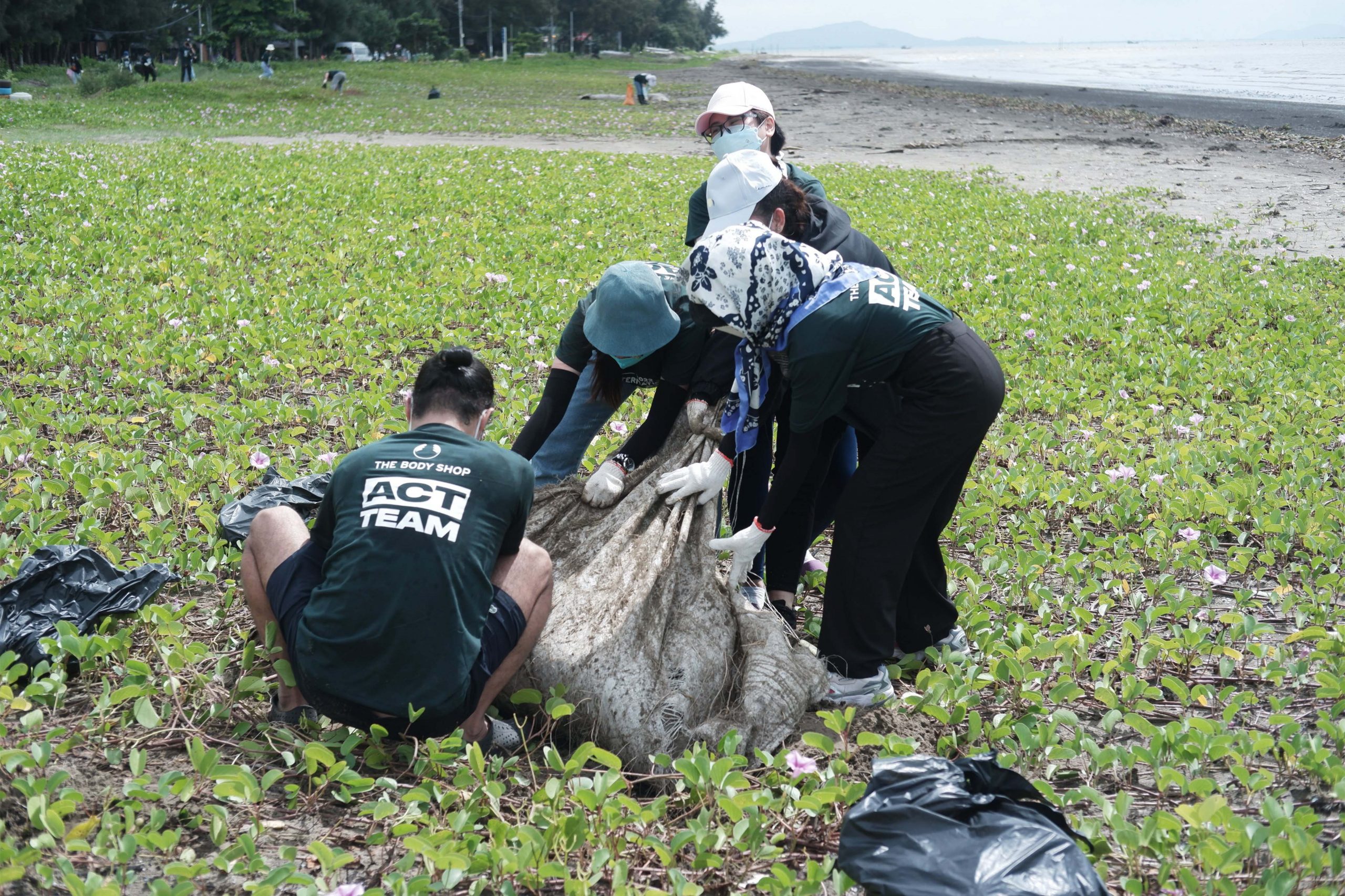 ngày dọn biển ngày dọn biển