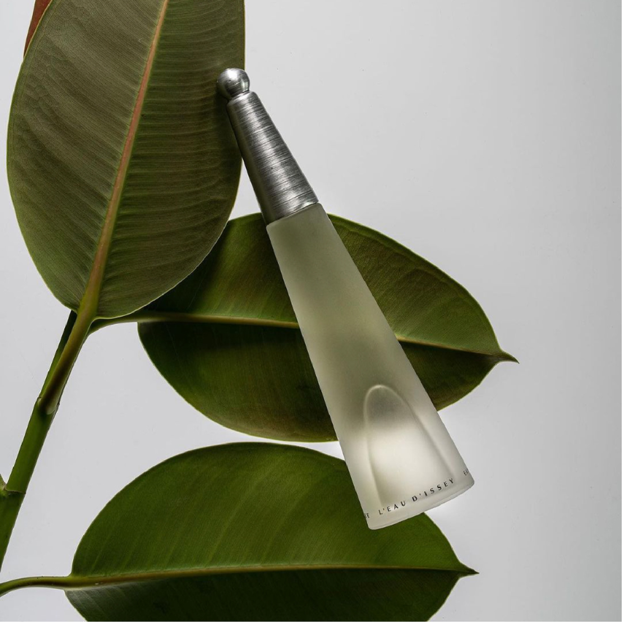 mùi hương issey miyaki mùi hương issey miyaki