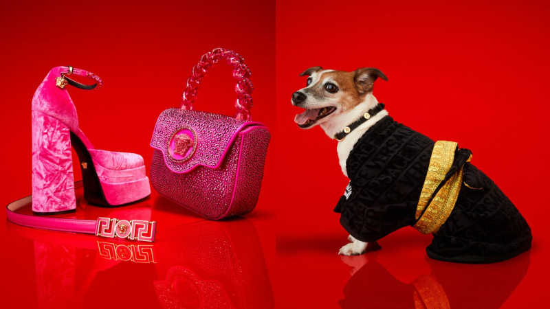 bst holiday 2022 - 36