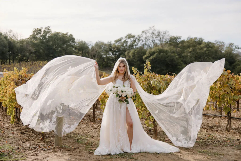 dam cuoi cua taylor lautner va taylor dome - 4