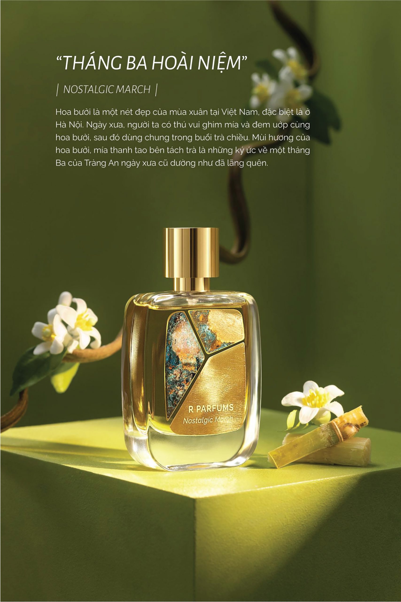 mùi hương R Parfums mùi hương R Parfums