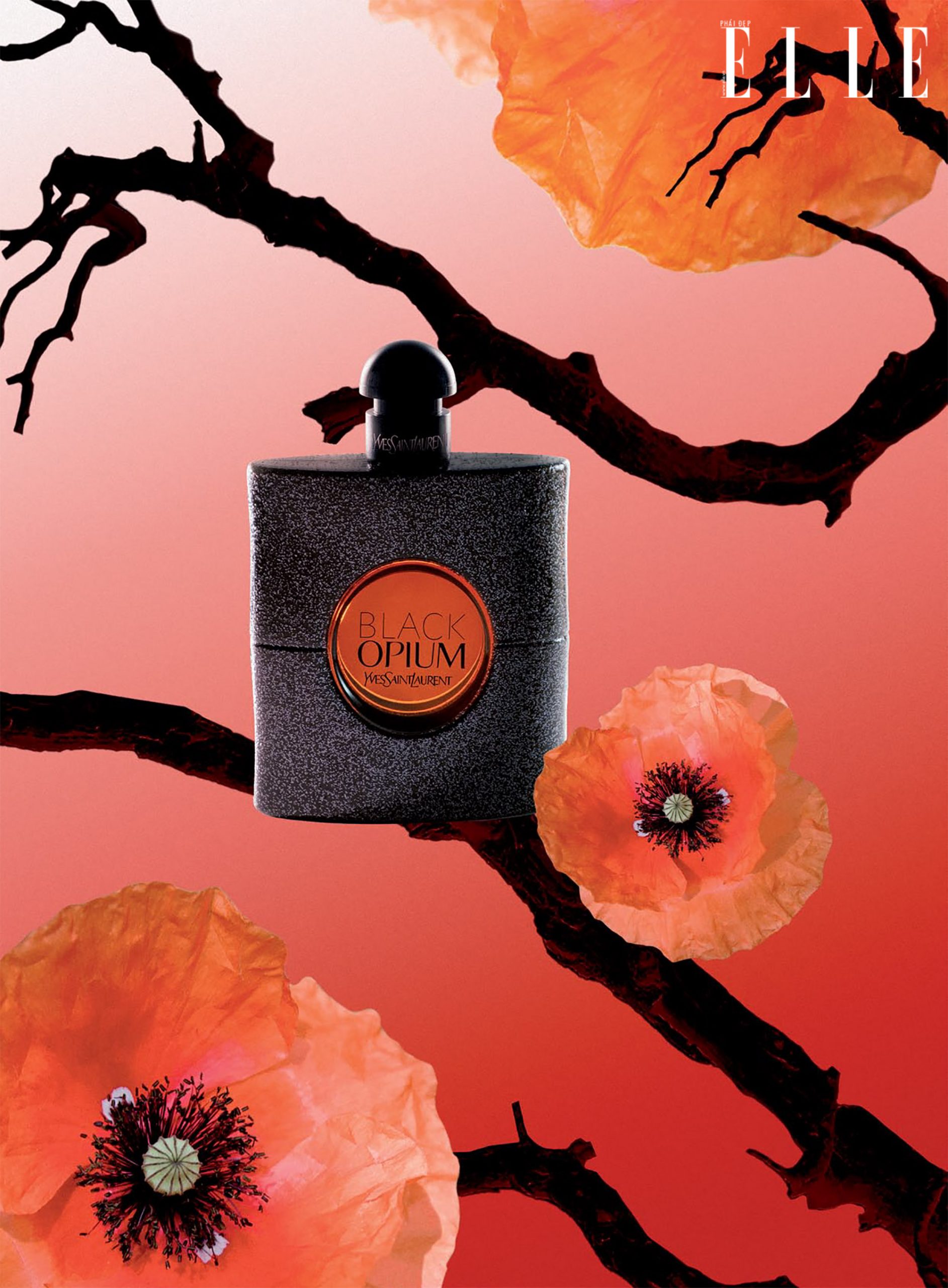 sản phẩm nước hoa black opium sản phẩm nước hoa black opium