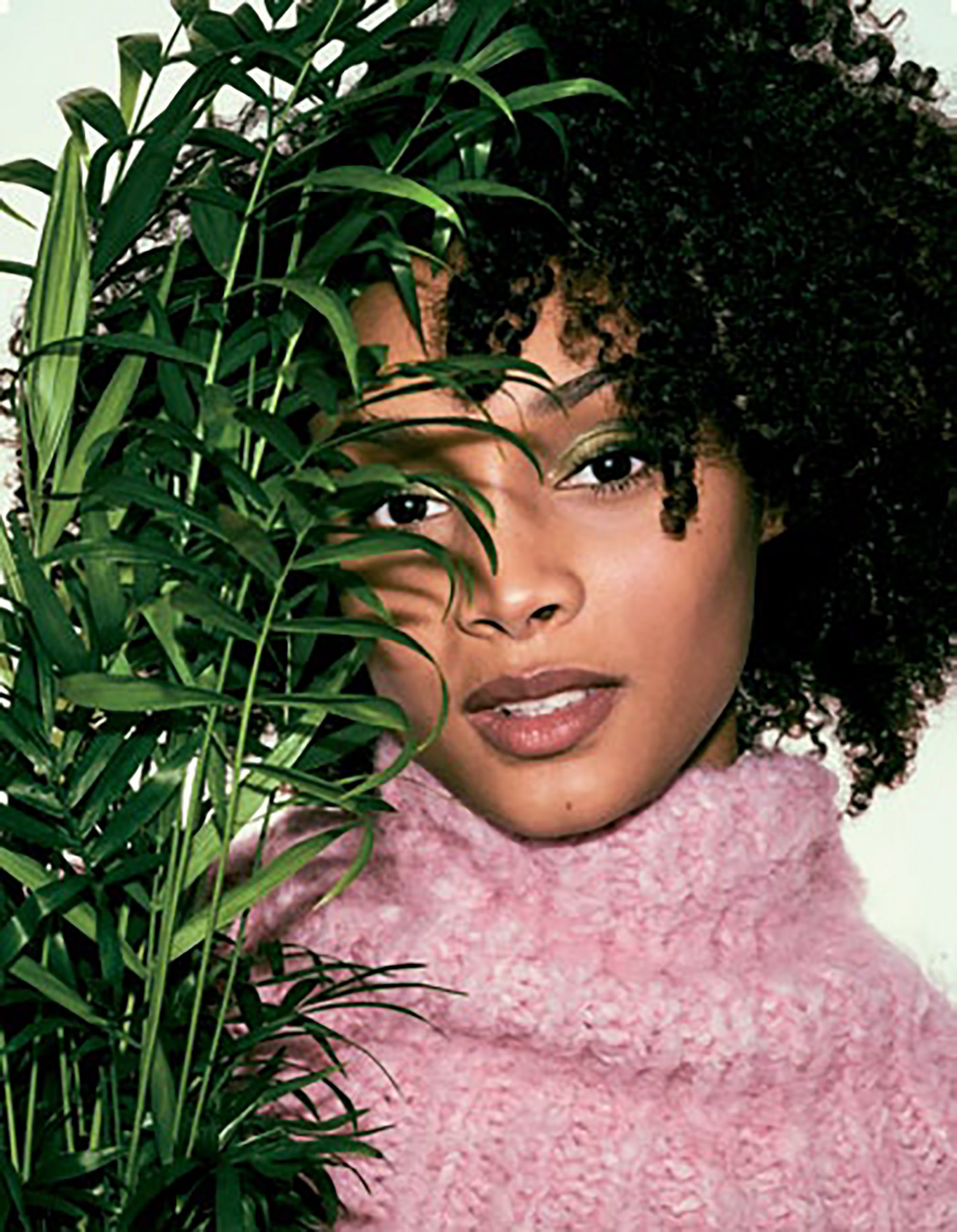 sản phẩm được yêu thích sản phẩm được yêu thích