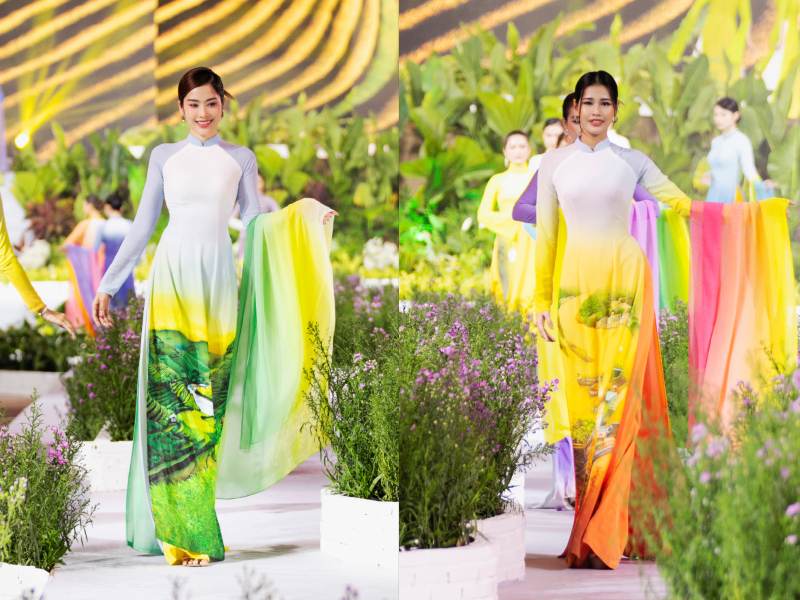 bst non nuoc viet nam - 3