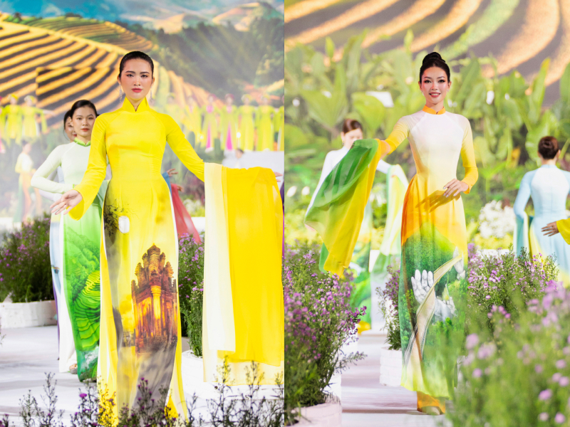 bst non nuoc viet nam - 4