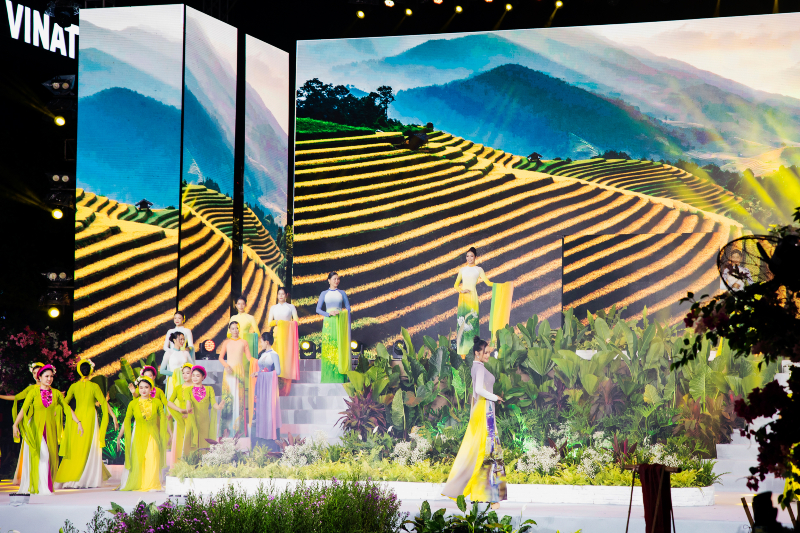 bst non nuoc viet nam - 5