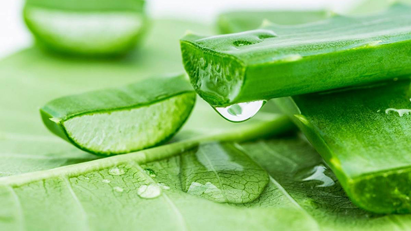 Nha đam và bột mì làm trắng da